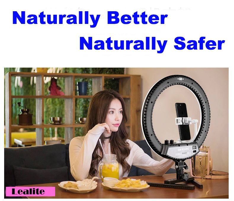 Wholesale Beauty Photographic Selfie LED Ring Light with Tripod Stand for Live Stream Makeup Youtube Video